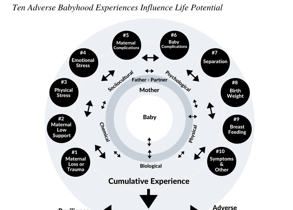 Experiente nefavorabile care influenteaza maternitatea