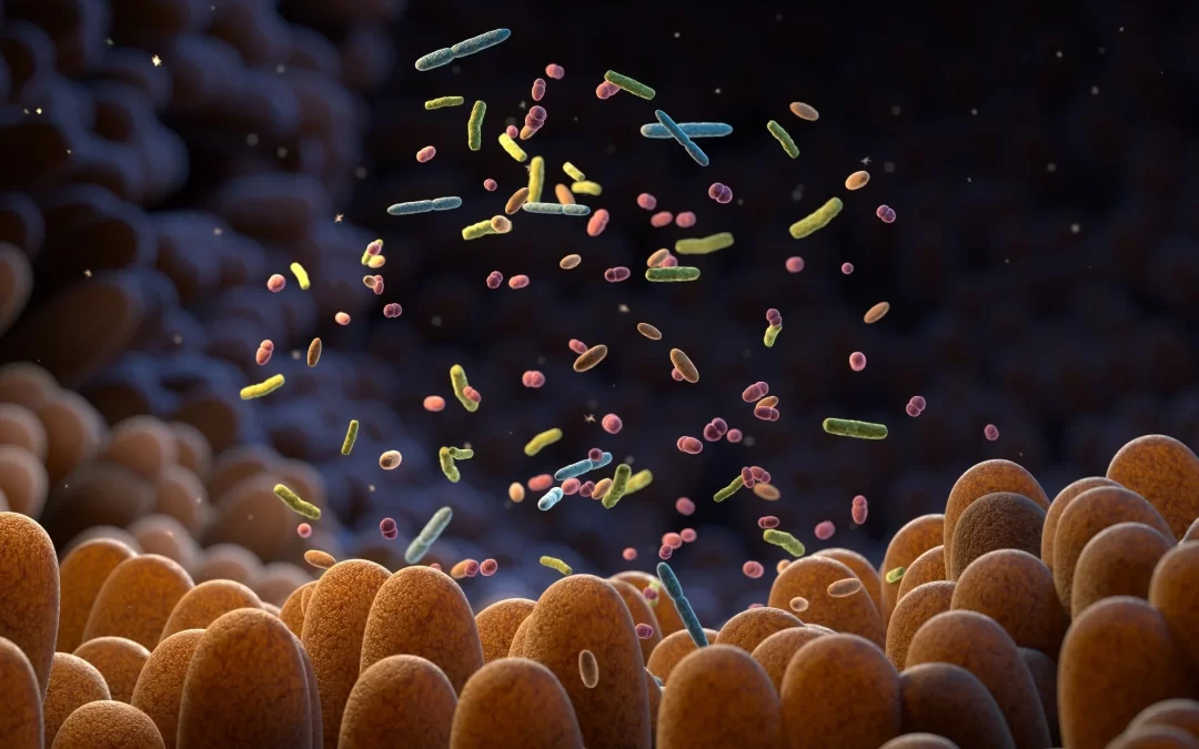 Neuroplasticitatea intestinului și inteligența mâinilor