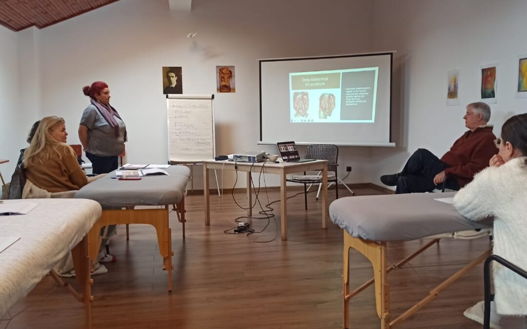 Continuarea formării în osteopatie cu Dr. Steven Sanet, D.O.